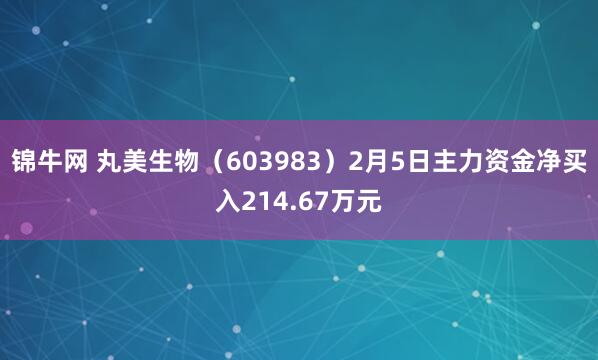 锦牛网 丸美生物（603983）2月5日主力资金净买入214.67万元