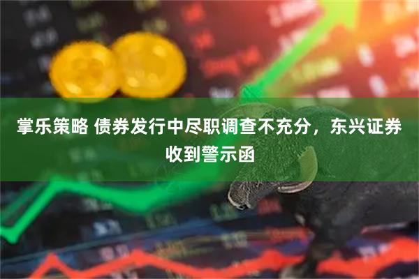 掌乐策略 债券发行中尽职调查不充分，东兴证券收到警示函