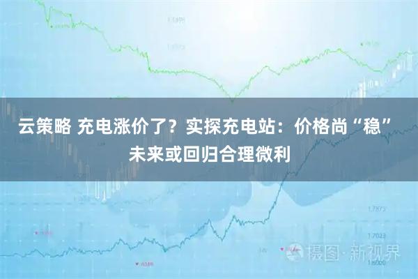 云策略 充电涨价了？实探充电站：价格尚“稳” 未来或回归合理微利