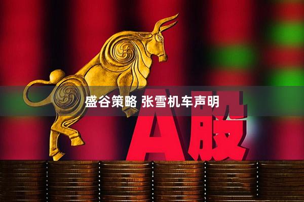 盛谷策略 张雪机车声明
